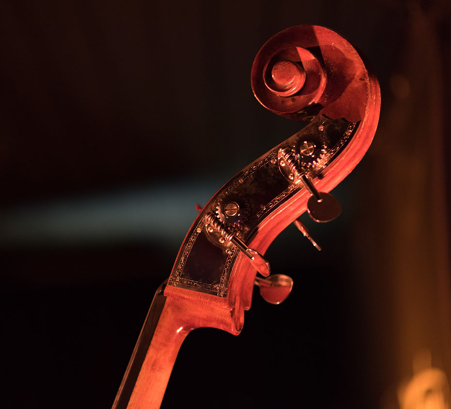 Kulturleitbild Stadt Wetzikon. Bild zeigt den Kopf einer Bassvioline. Kulturleitbild